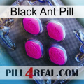 Black Ant Pill 02